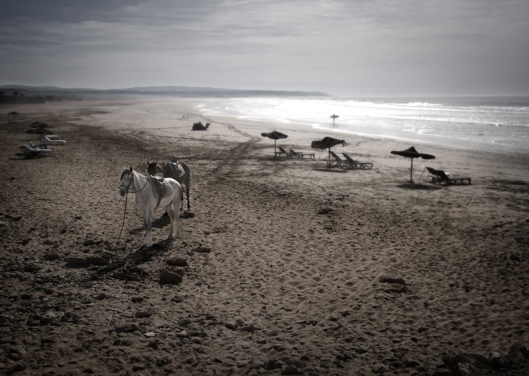 Panasonic Lumix DMC-G7 + Sigma 19mm F2.8 DN Art sample photo. Moroccan beach photography