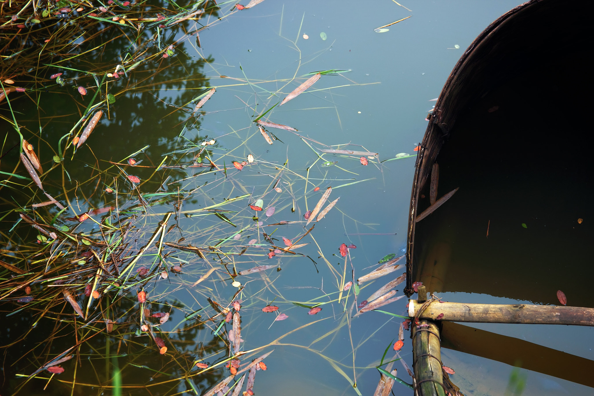 Canon EOS 550D (EOS Rebel T2i / EOS Kiss X4) sample photo. Autumn pond photography
