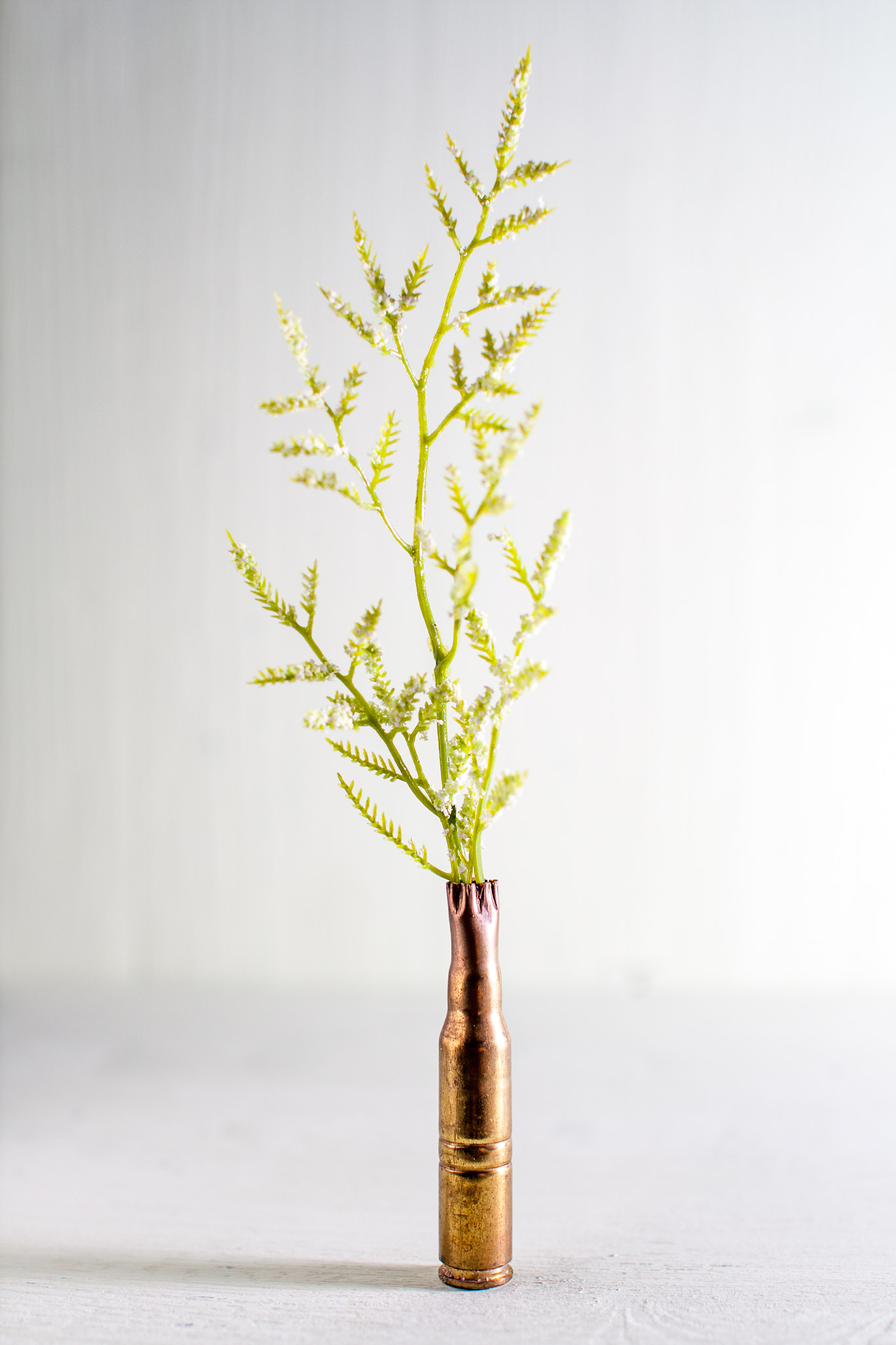 Sigma 30mm F1.4 EX DC HSM sample photo. Life is stronger than a bullet photography