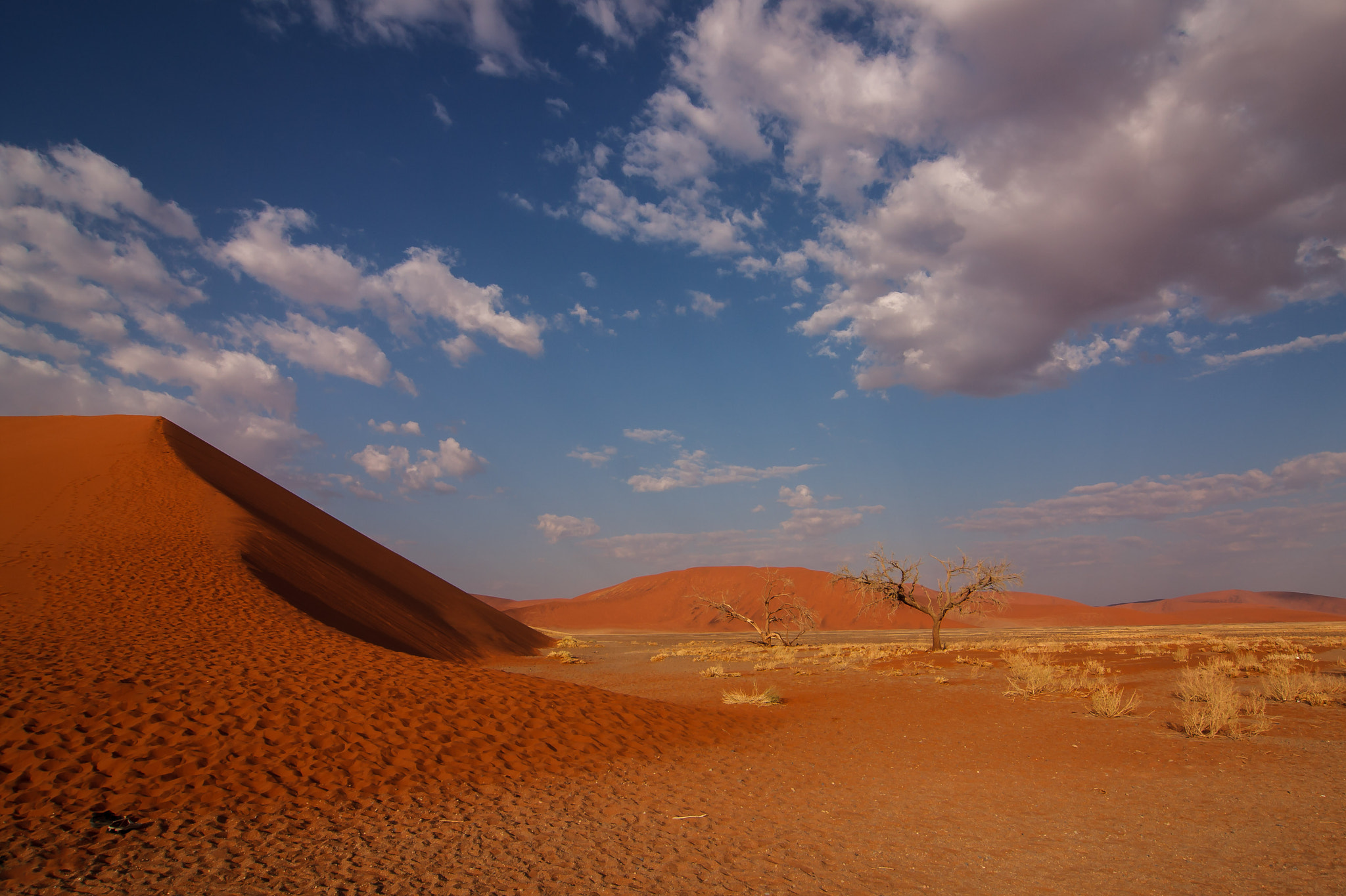 Tokina AT-X Pro 12-24mm F4 (IF) DX sample photo. Lost shoes ... photography