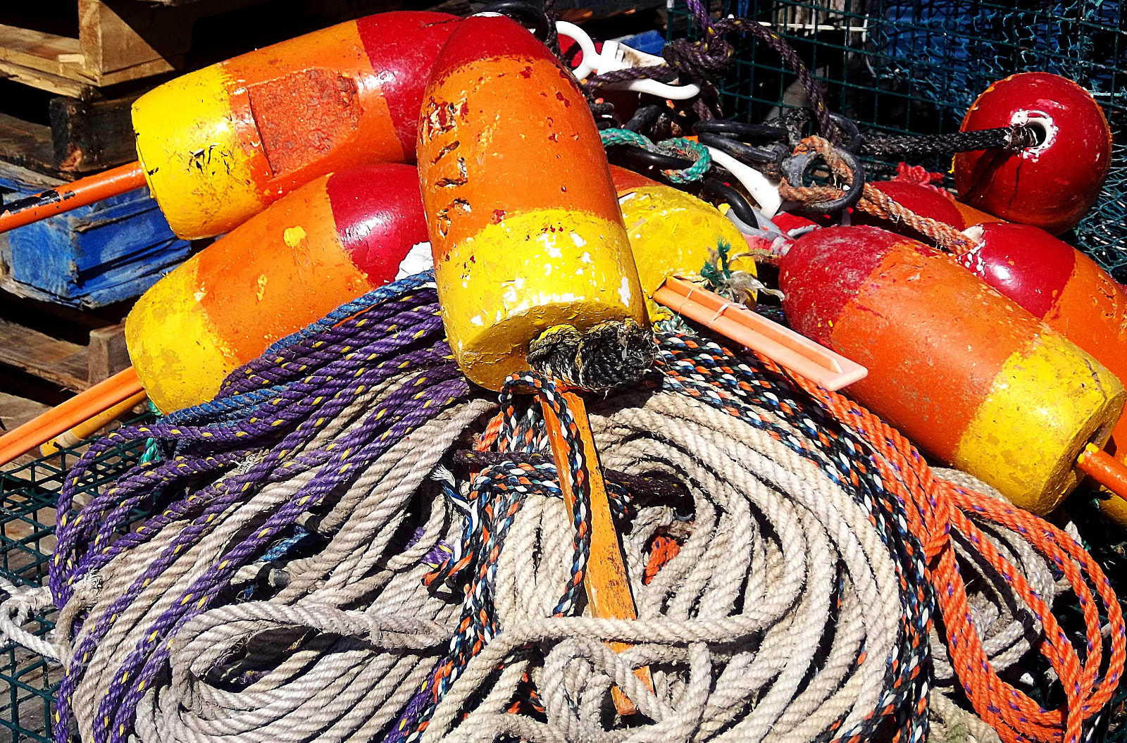 Kodak EASYSHARE M575 DIGITAL CAMERA sample photo. Colorful lobster buoys off coastal maine photography