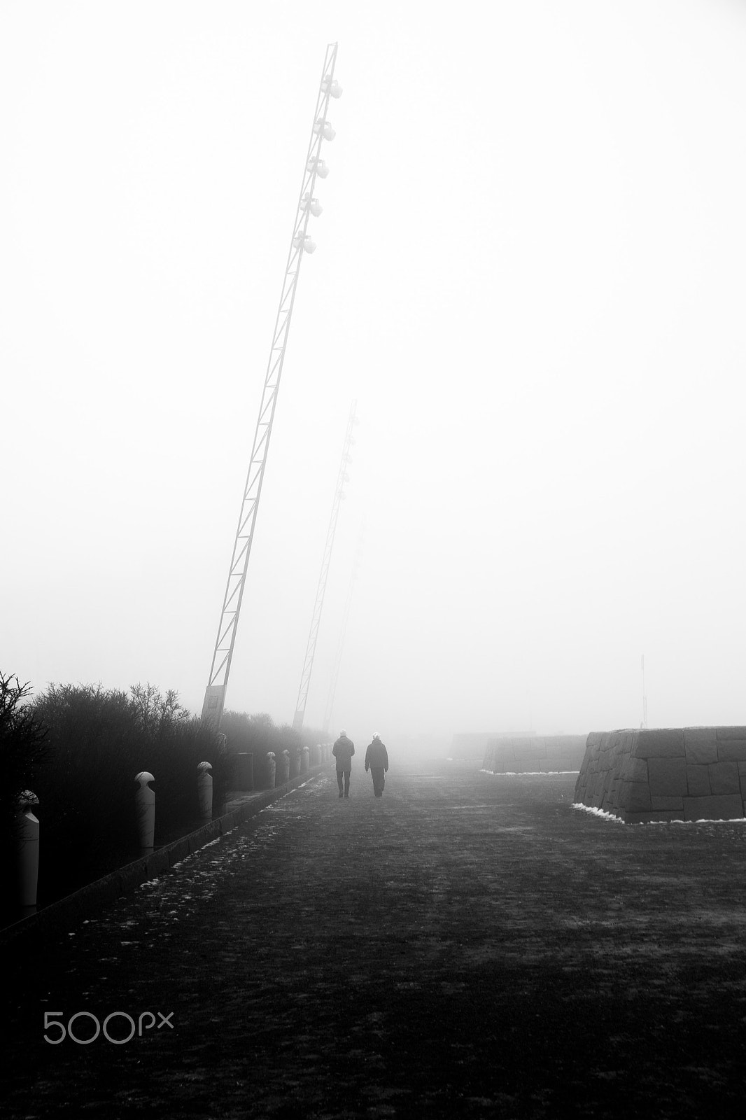 Canon EF 24-85mm F3.5-4.5 USM sample photo. A walk in the fog photography