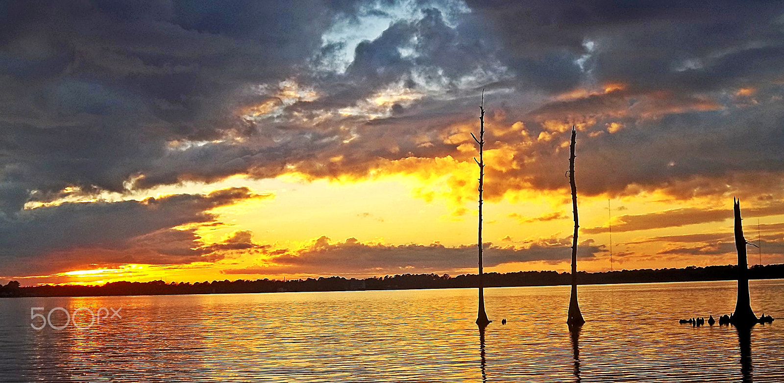 Kodak EASYSHARE M575 DIGITAL CAMERA sample photo. Sunset over neuse river north carolina photography