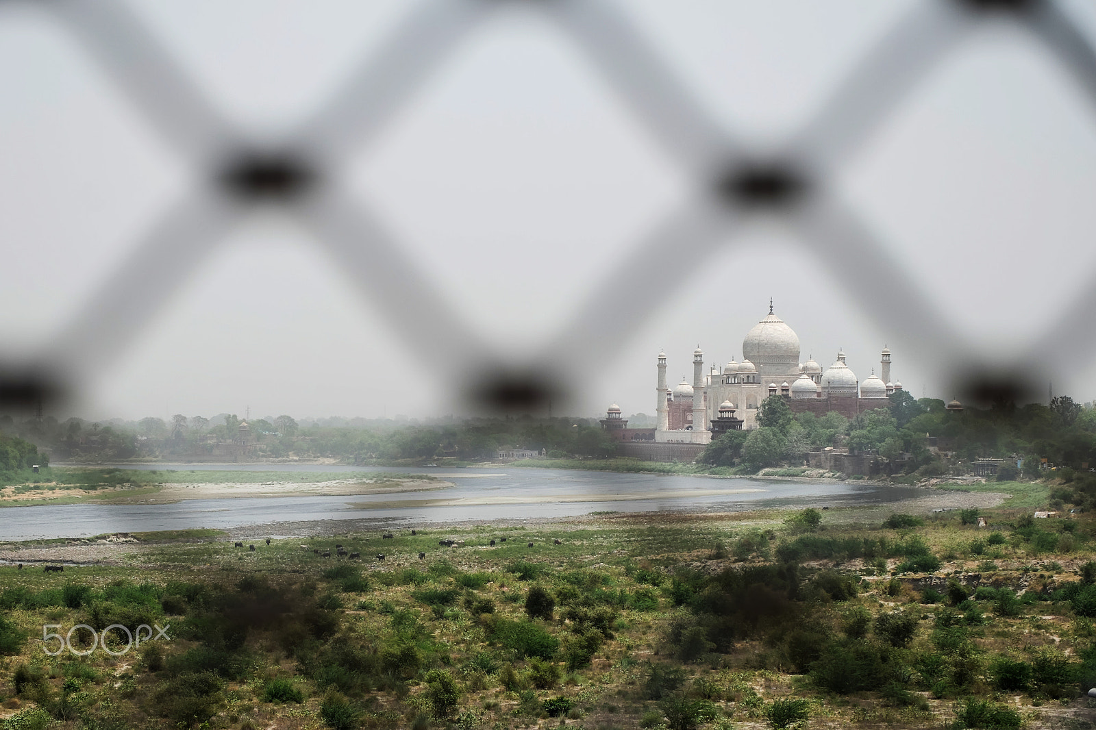 Fujifilm X-M1 + Fujifilm XF 55-200mm F3.5-4.8 R LM OIS sample photo. View from agra fort on the taj mahal. photography