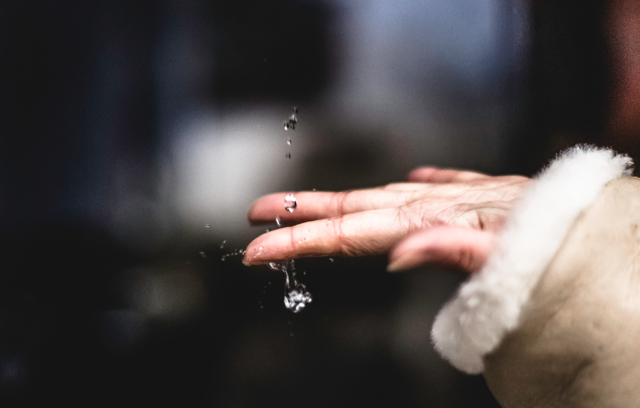 Sony Alpha DSLR-A500 + Sony 50mm F1.4 sample photo. Catch the rain photography