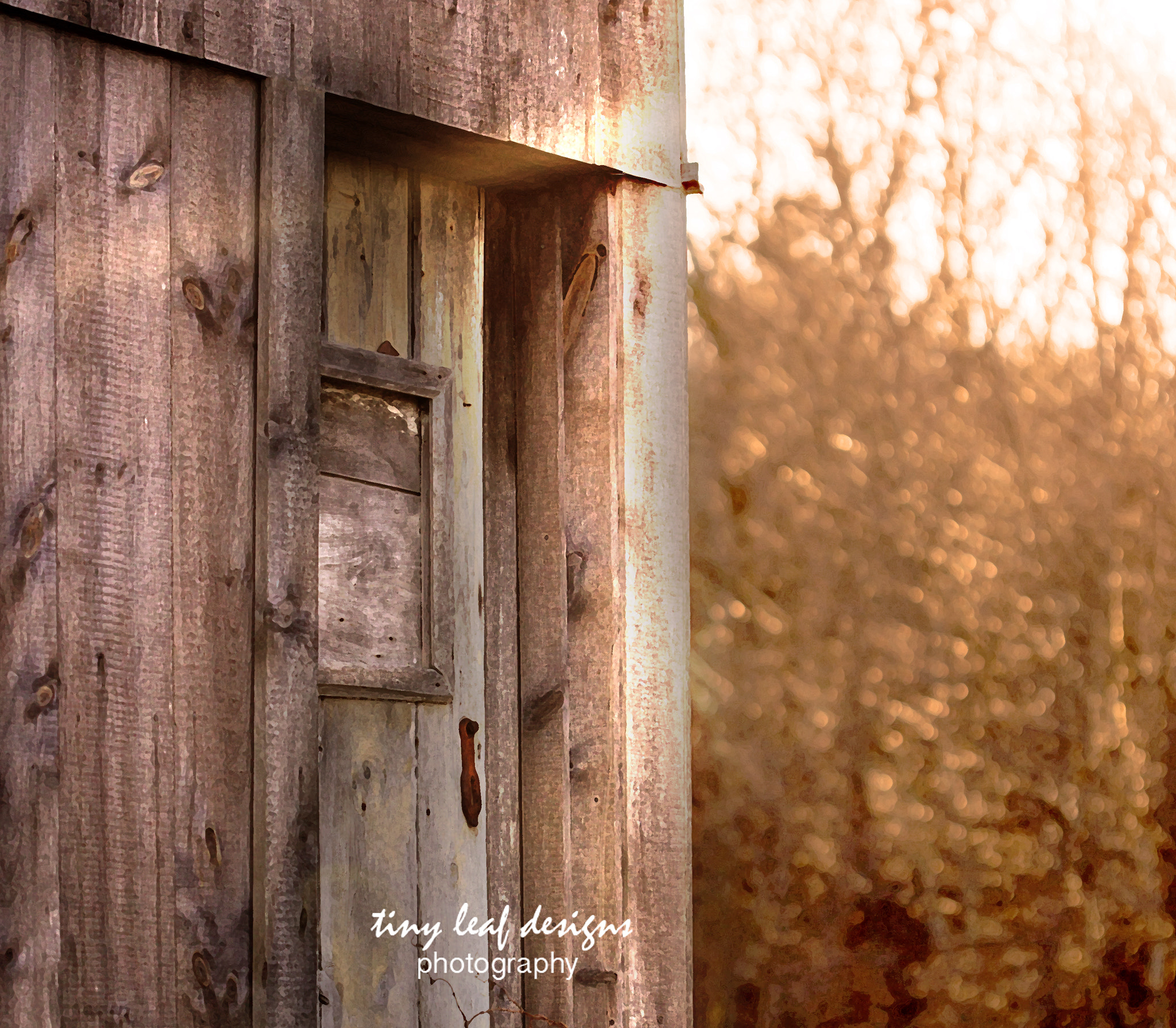 Canon EOS 6D + Canon EF 100mm F2.8 Macro USM sample photo. Catching a ray of sunshine photography