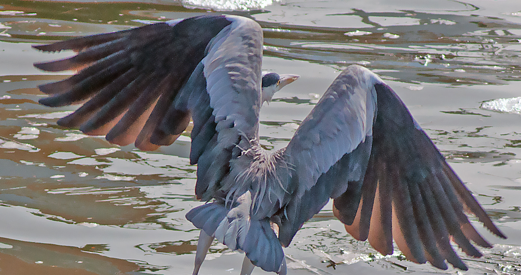 AF Zoom-Nikkor 75-240mm f/4.5-5.6D sample photo. Wide open photography