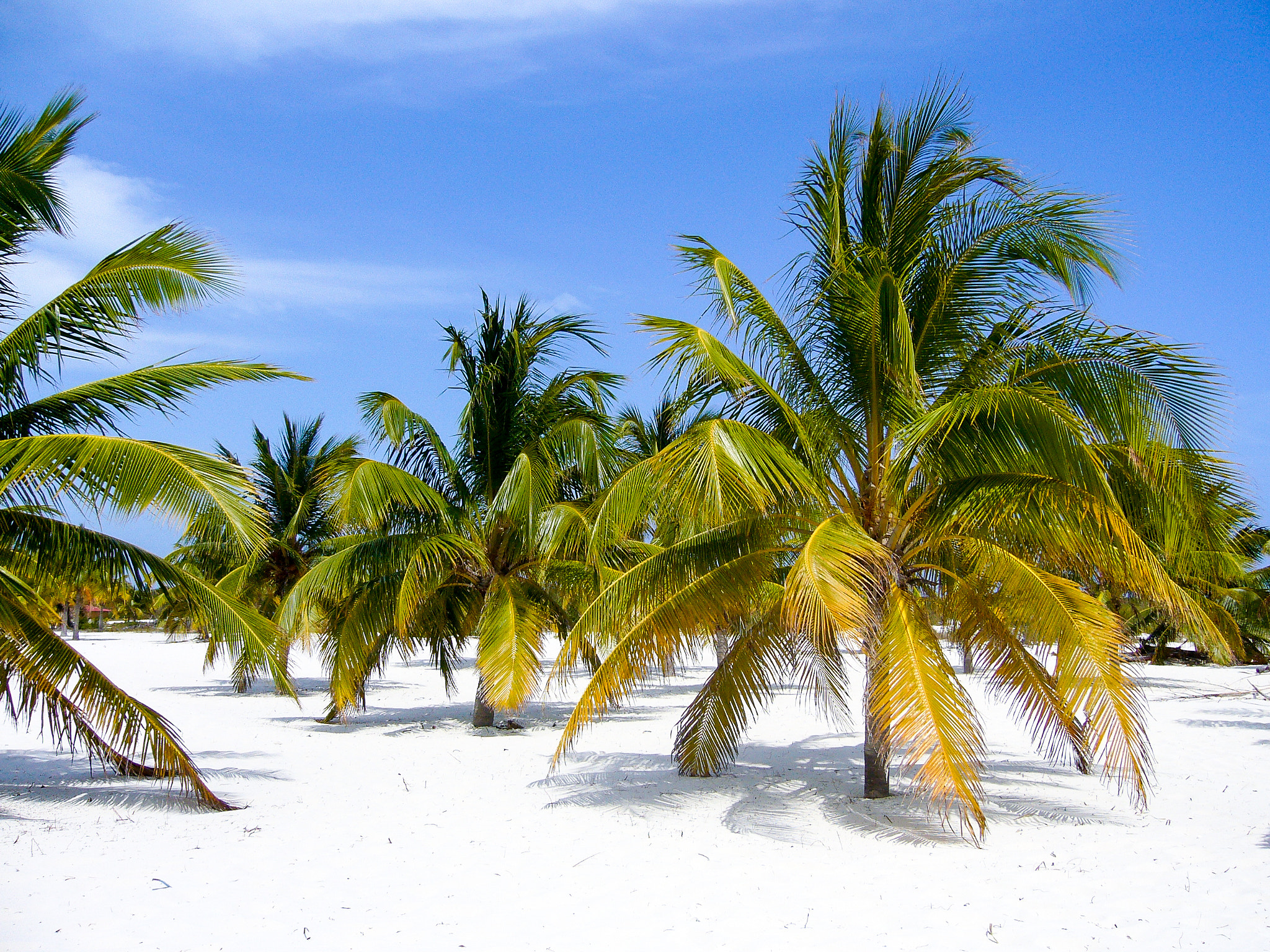 Panasonic DMC-FX8 sample photo. Beach photography