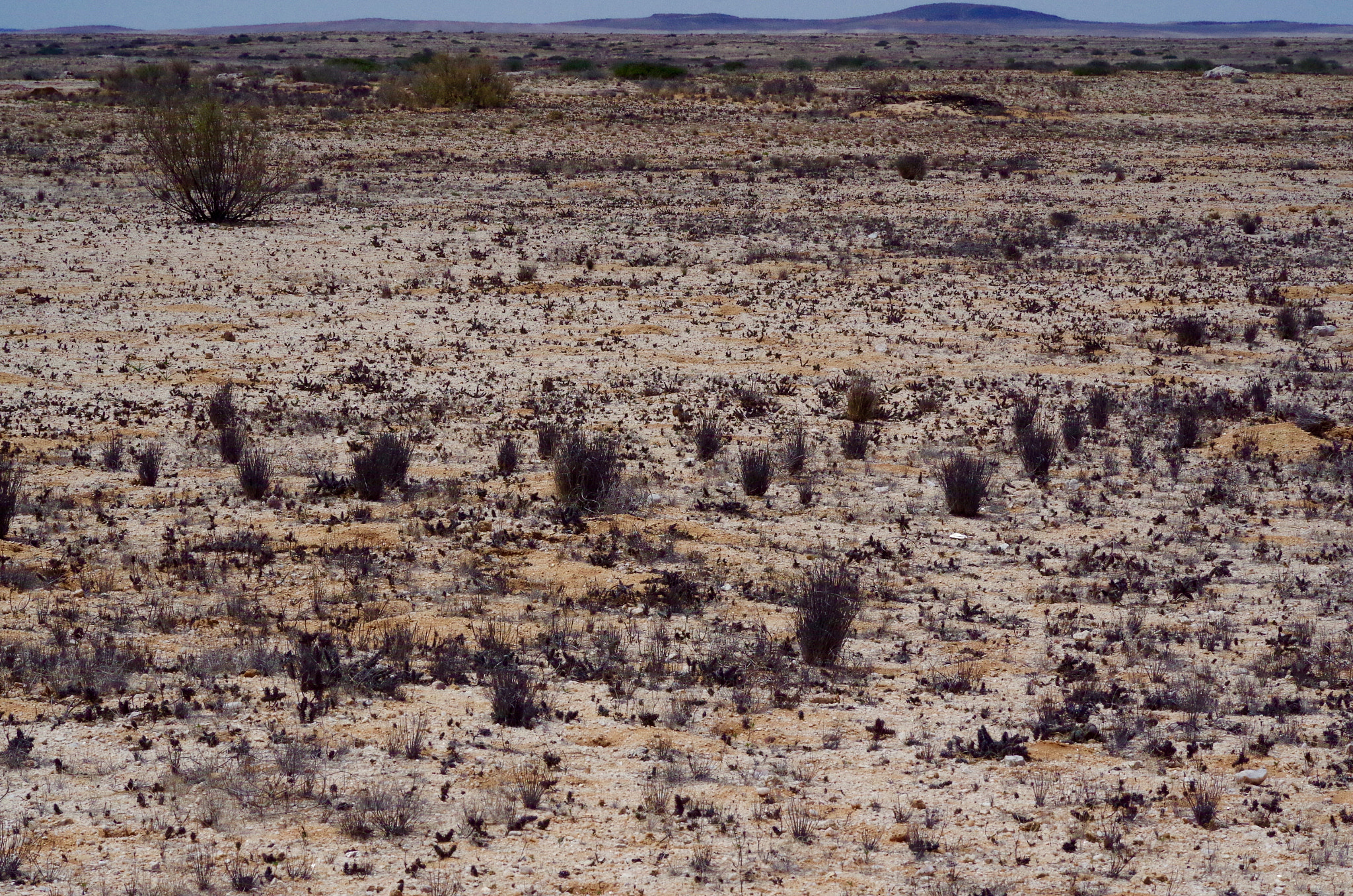 HD Pentax DA 70mm F2.4 AL Limited sample photo. Burnt lands photography