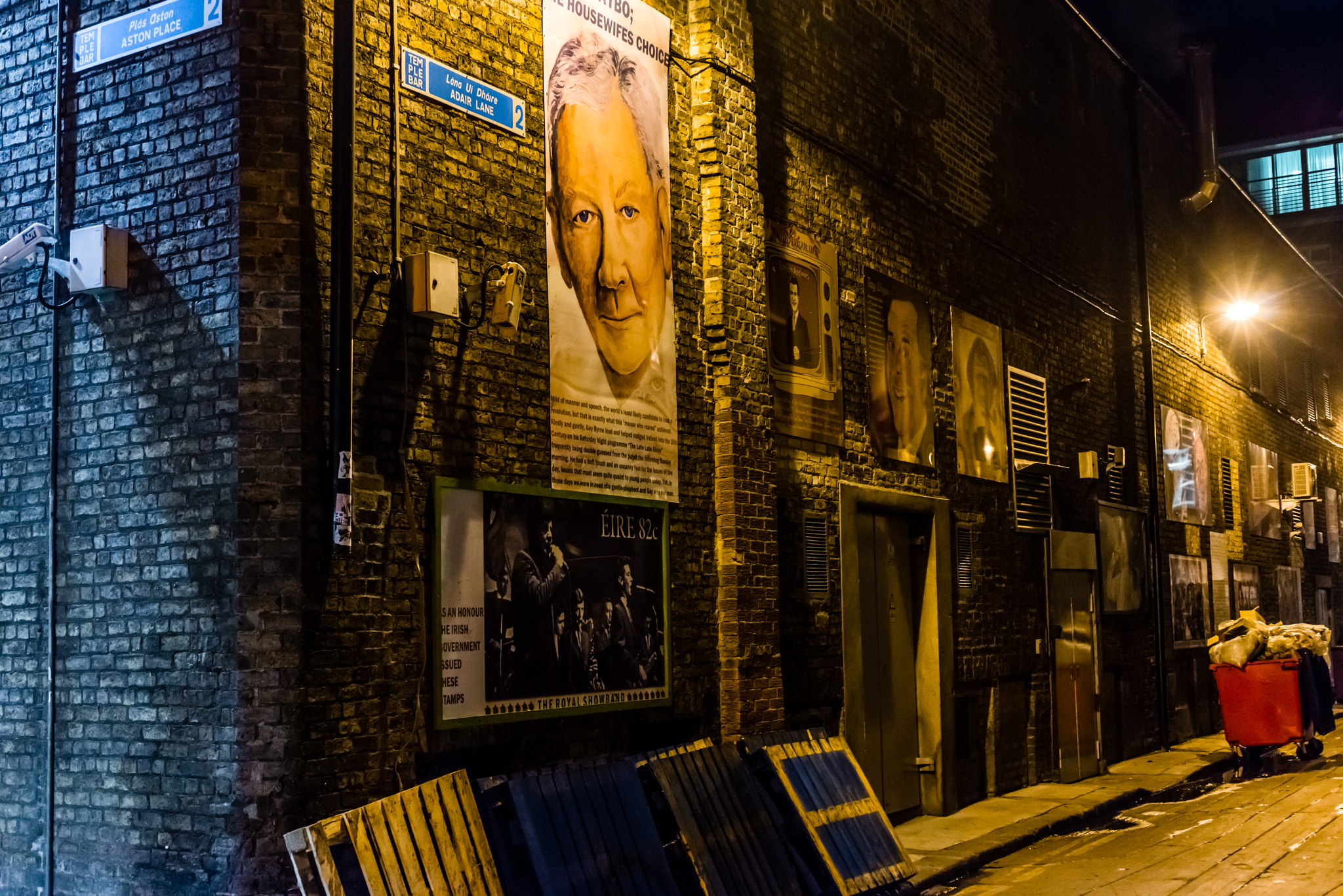 Nikon D800 + Sigma 50mm F2.8 EX DG Macro sample photo. Dublin photography