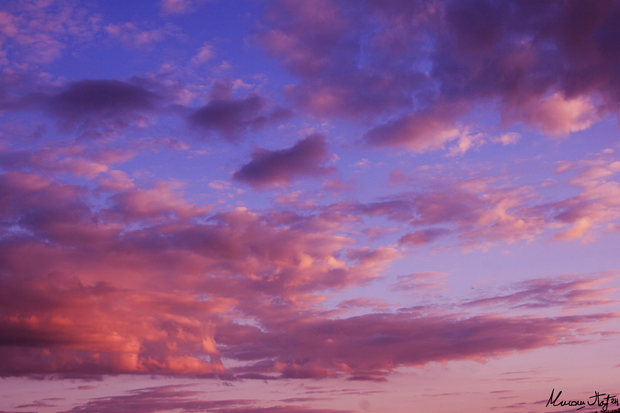 Canon EF-S 18-55mm F3.5-5.6 sample photo. The sky color photography