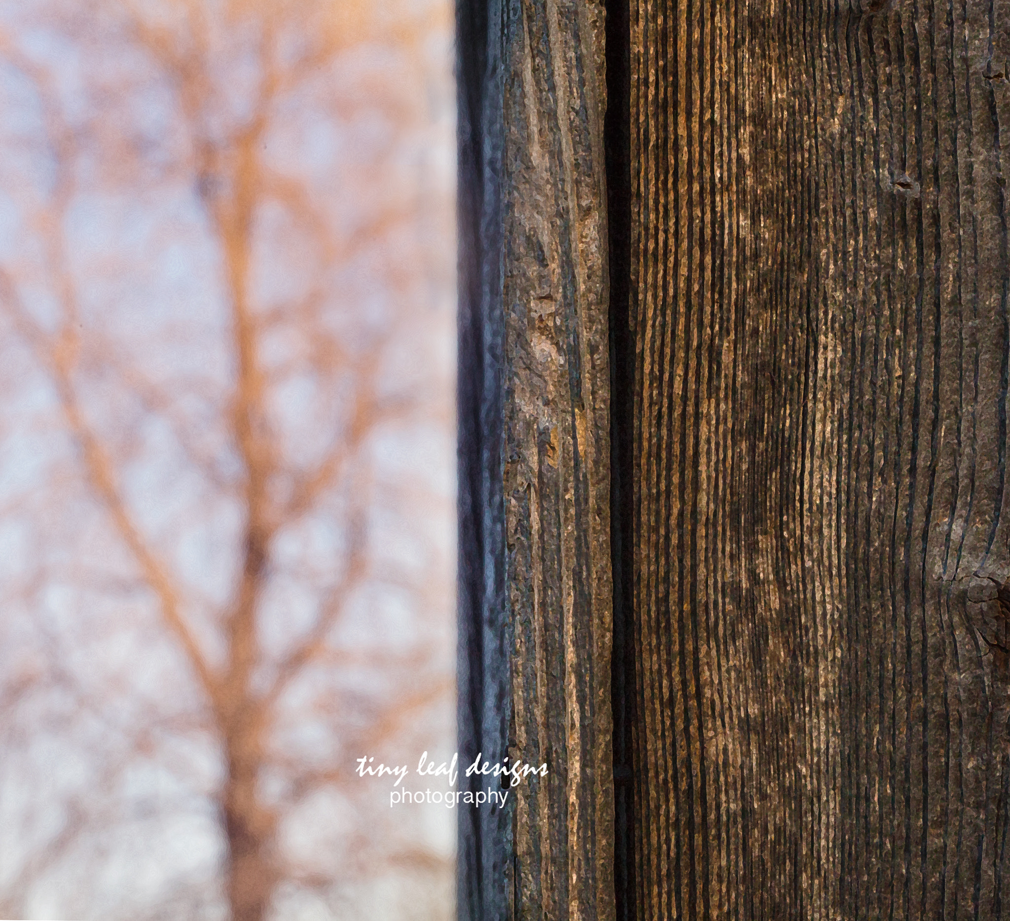 Canon EOS 6D + Canon EF 100mm F2.8 Macro USM sample photo. Contrast of wood photography
