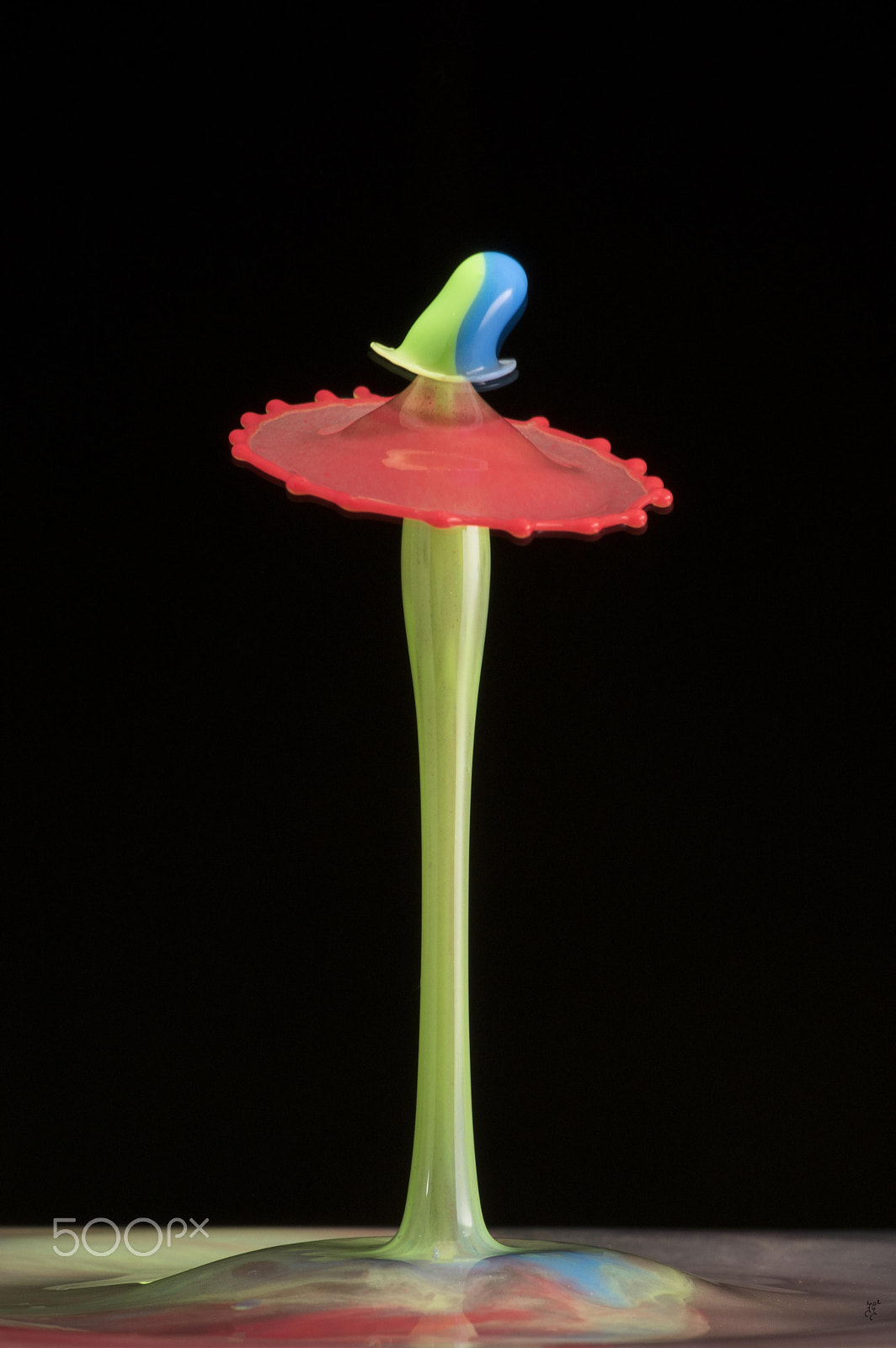 Pentax smc D-FA 100mm F2.8 macro sample photo. Colors.jpg photography