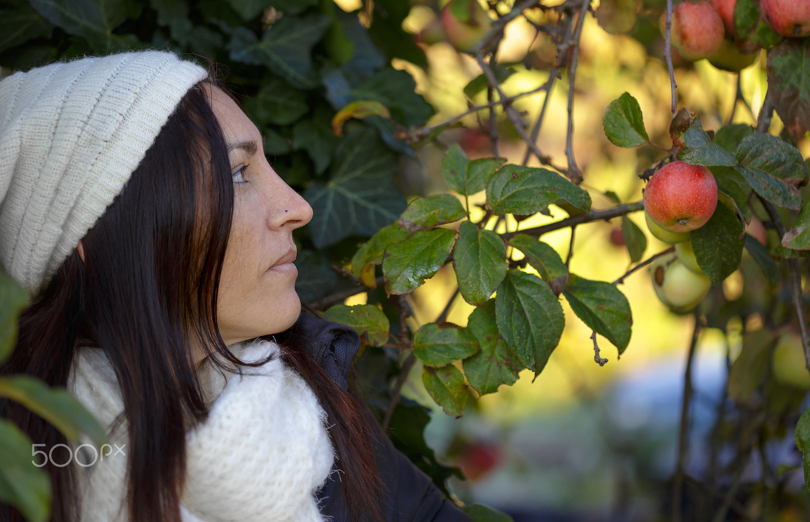 Canon EOS 6D + Canon EF 100mm F2.8 Macro USM sample photo. Sunny winter day photography