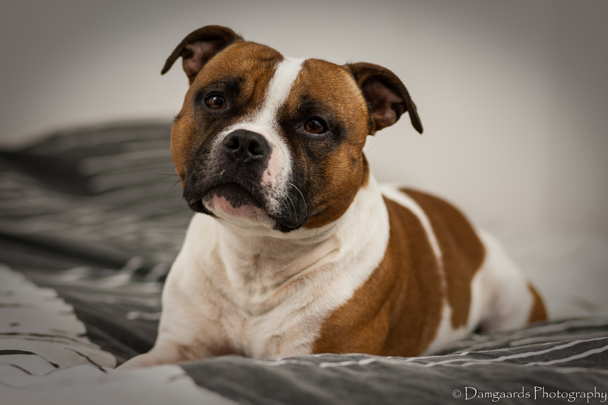 Canon EOS-1Ds Mark III sample photo. 5l0r4843.jpg photography