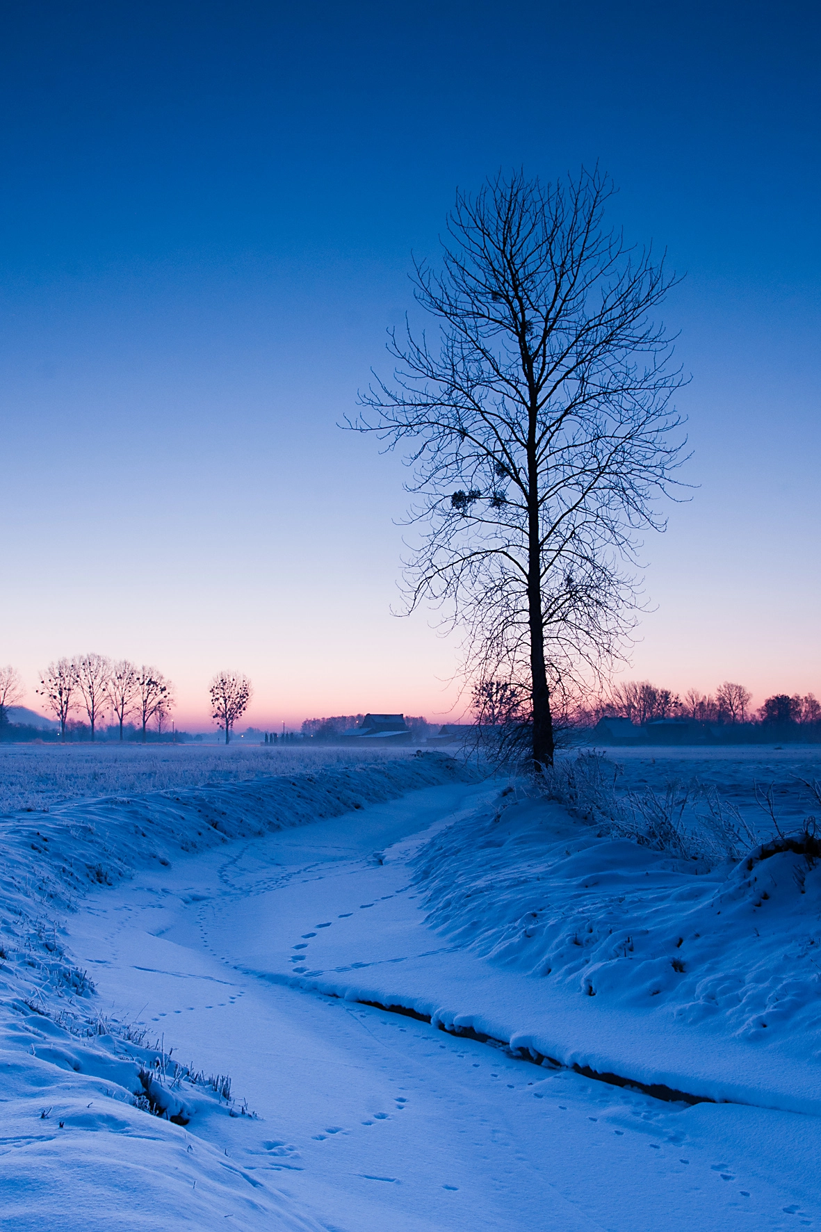 Sony Alpha DSLR-A700 + Sigma ZOOM-alpha 35-135mm F3.5-4.5 sample photo. Frosty morning photography