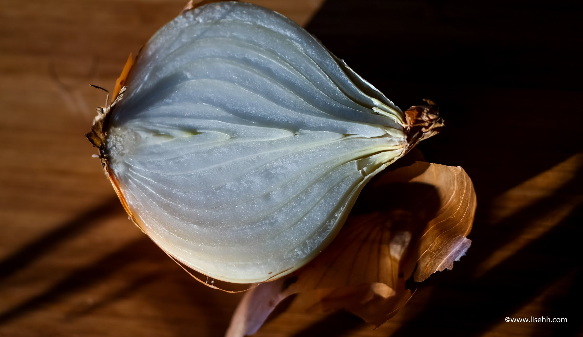 NX 60mm F2.8 Macro sample photo. Onion photography