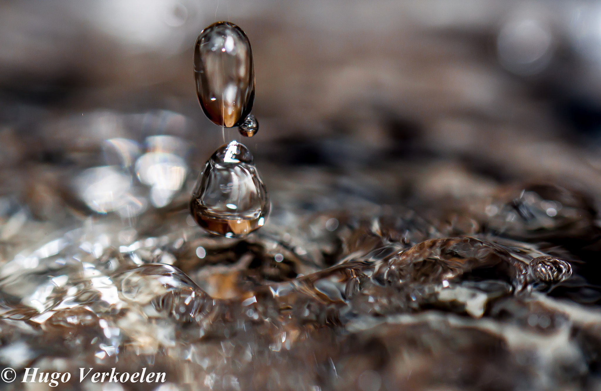 Sigma 105mm F2.8 EX DG OS HSM sample photo. Drop photography
