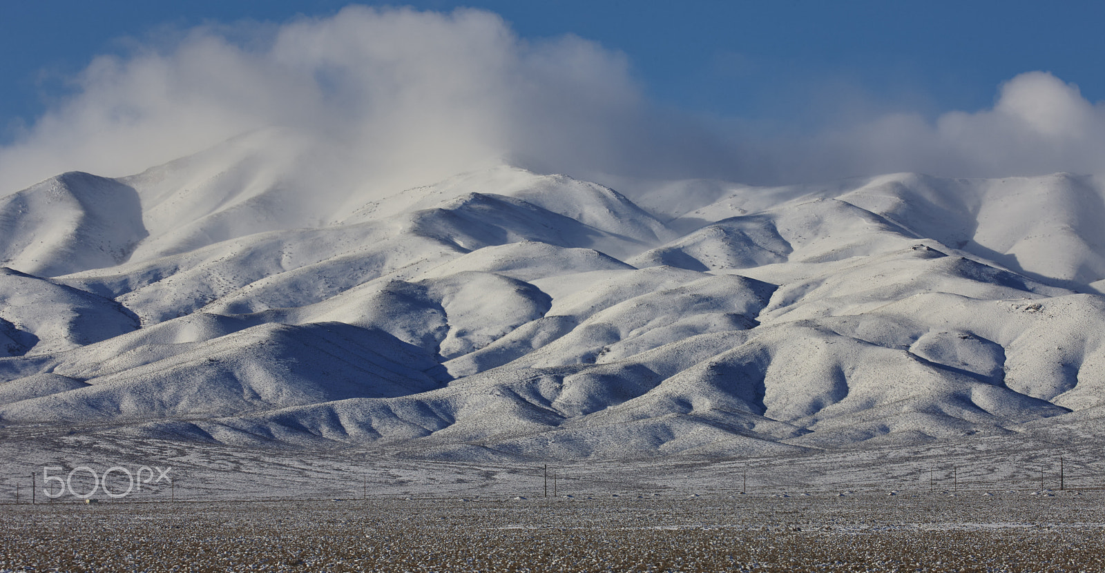 Canon EF 100-400mm F4.5-5.6L IS II USM sample photo. Snow covered photography