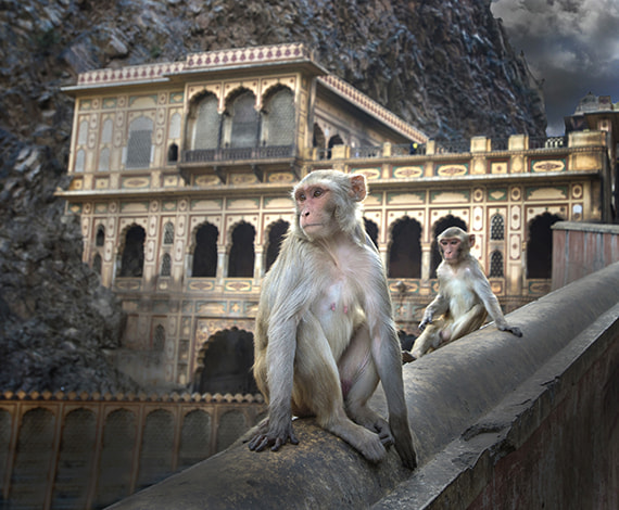 Nikon AF-S Nikkor 17-35mm F2.8D ED-IF sample photo. Monkey temple photography
