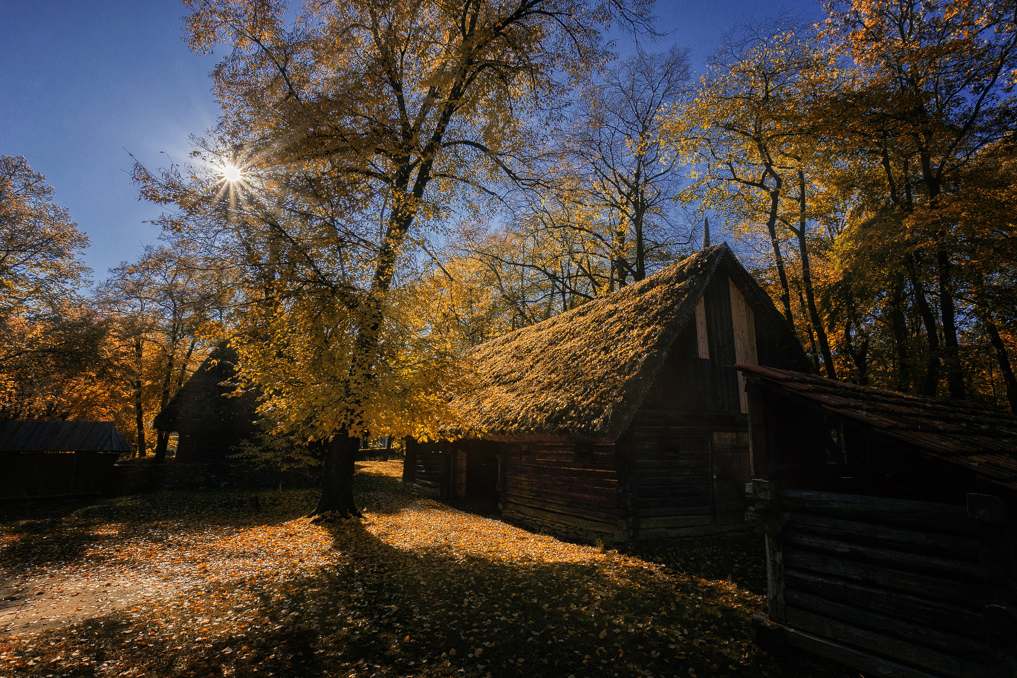 Sony a7R + Sony E 10-18mm F4 OSS sample photo. An old romanian house photography