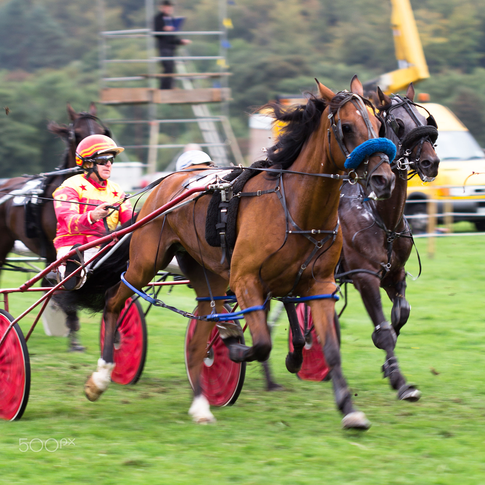 Canon EOS 60D + Canon EF 100mm F2.8 Macro USM sample photo. Racing photography