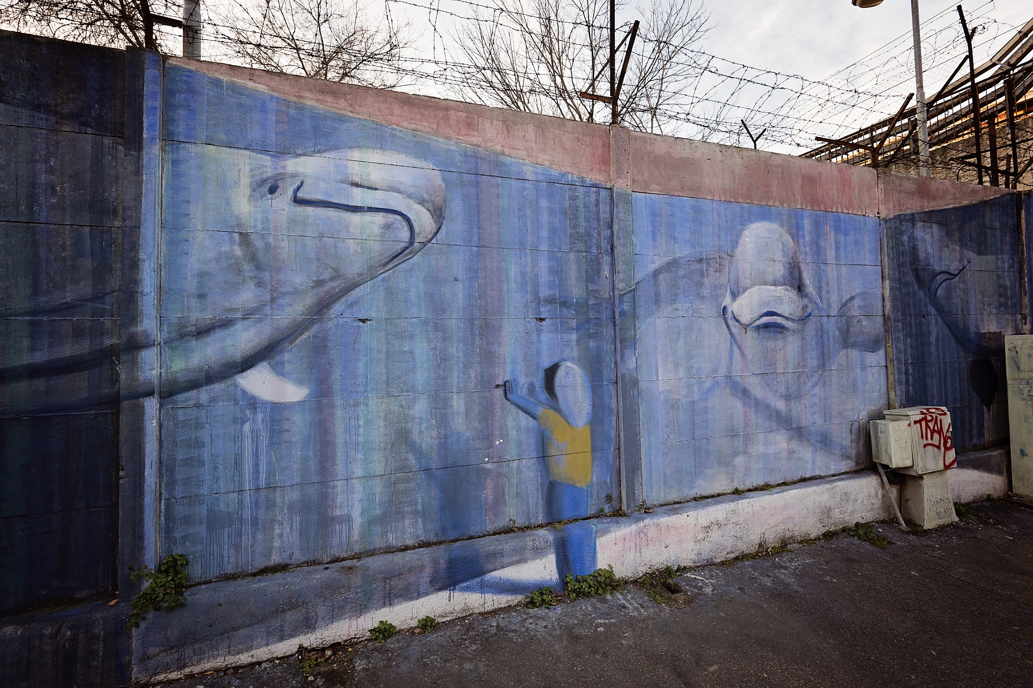 Panasonic Lumix DMC-GH4 + Olympus M.Zuiko Digital ED 7-14mm F2.8 PRO sample photo. Street art rome 1 photography