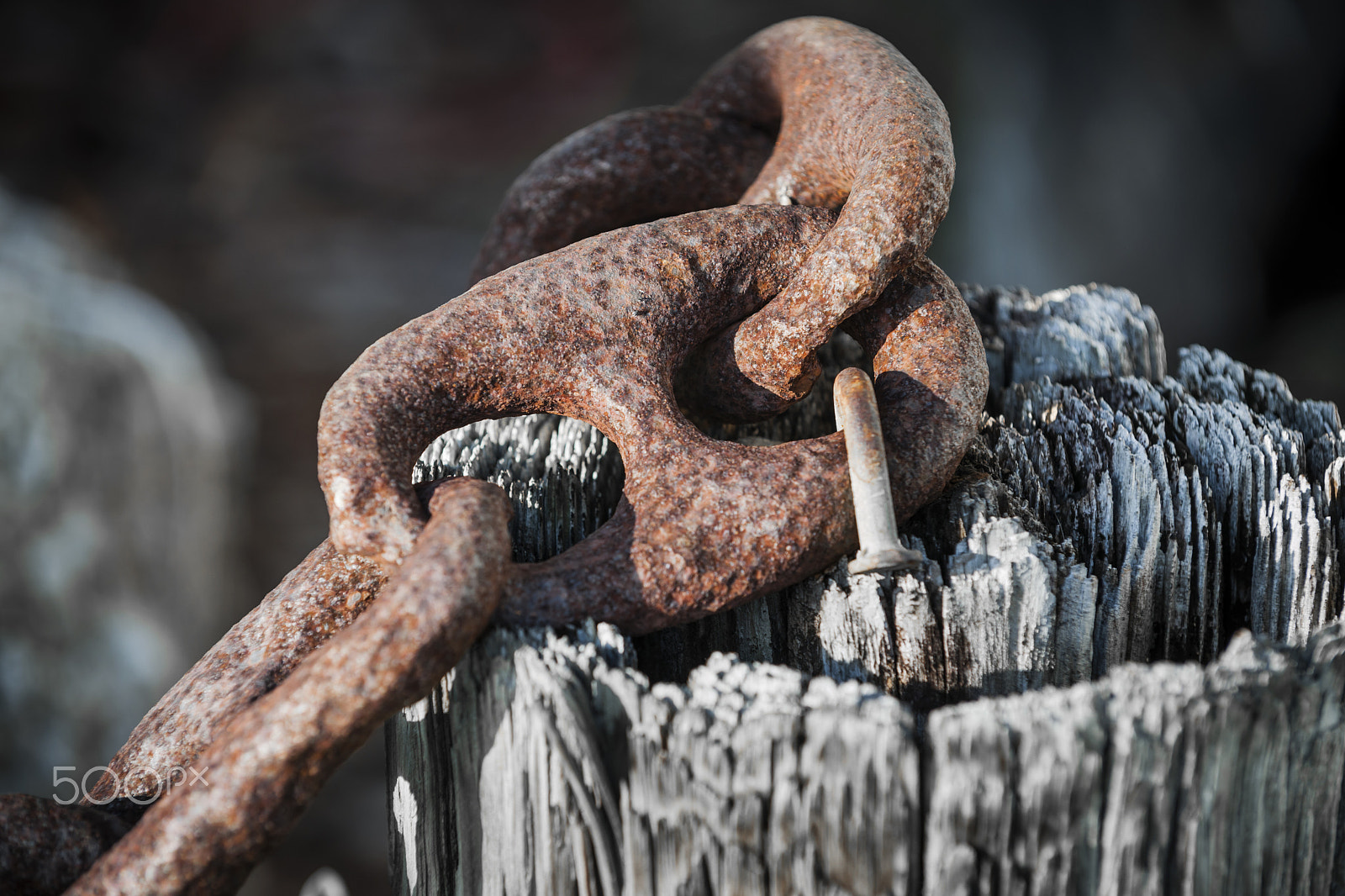 Nikon D3X sample photo. Rusty iron chain railing fragment photography