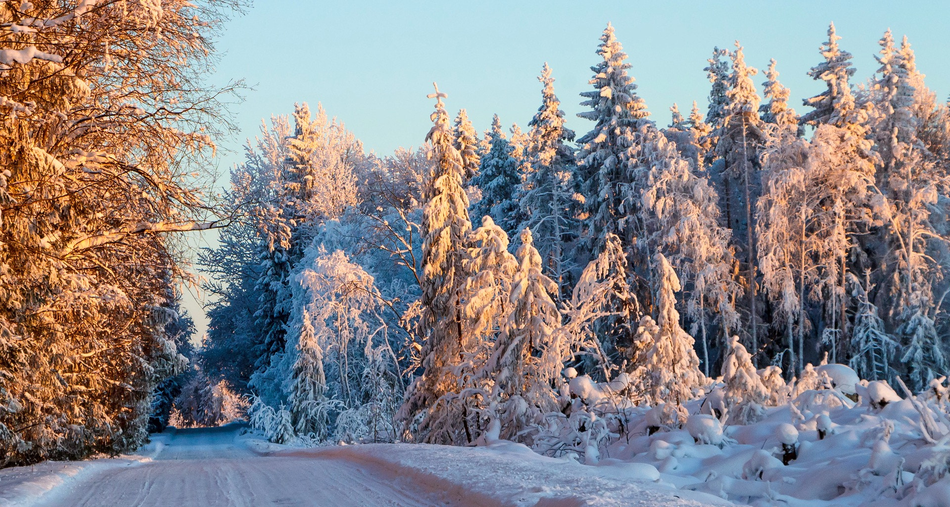 Canon EF-S 18-135mm F3.5-5.6 IS STM sample photo. Winter roads xv photography