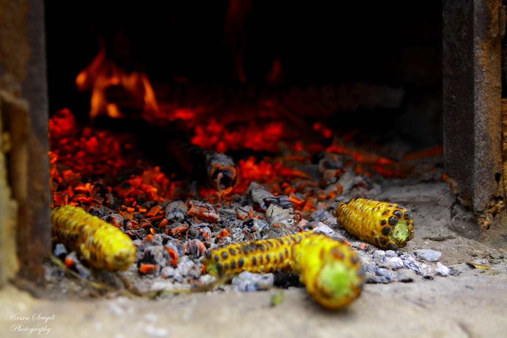 Canon EOS 50D + Canon 24-70mm sample photo. Delicious photography