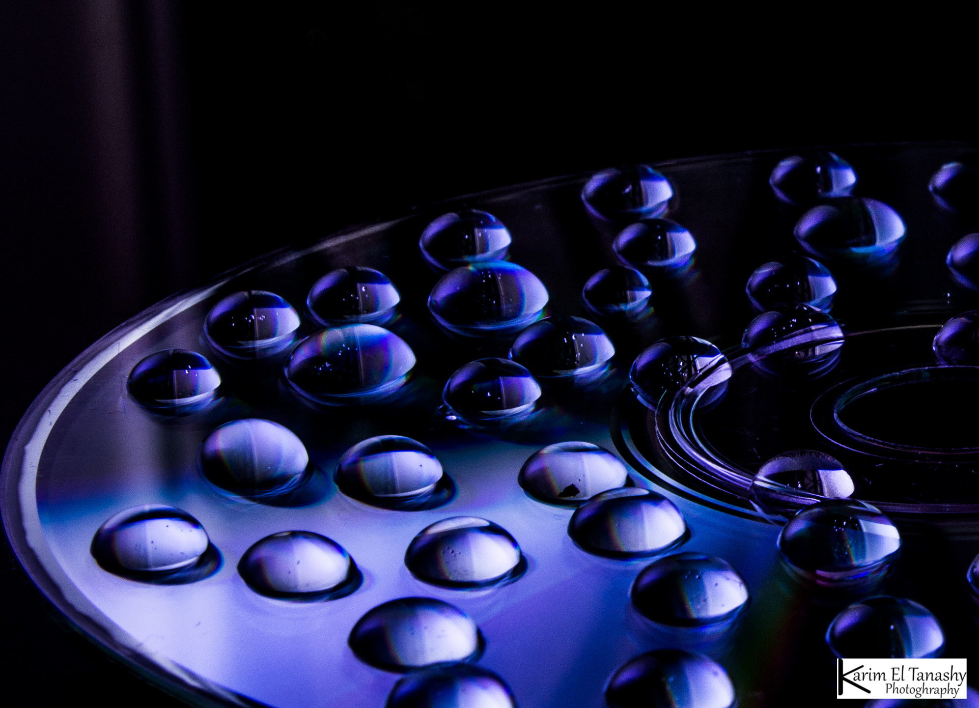 Sigma 24-70mm F2.8 EX DG HSM sample photo. Water drops photography