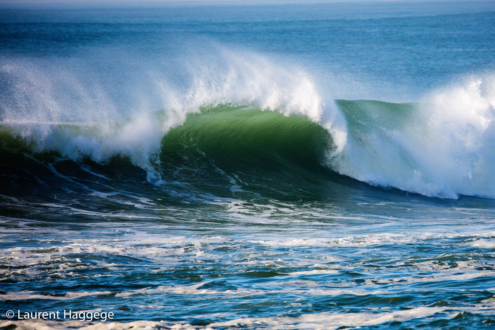 Sigma 150-600mm F5-6.3 DG OS HSM | C sample photo