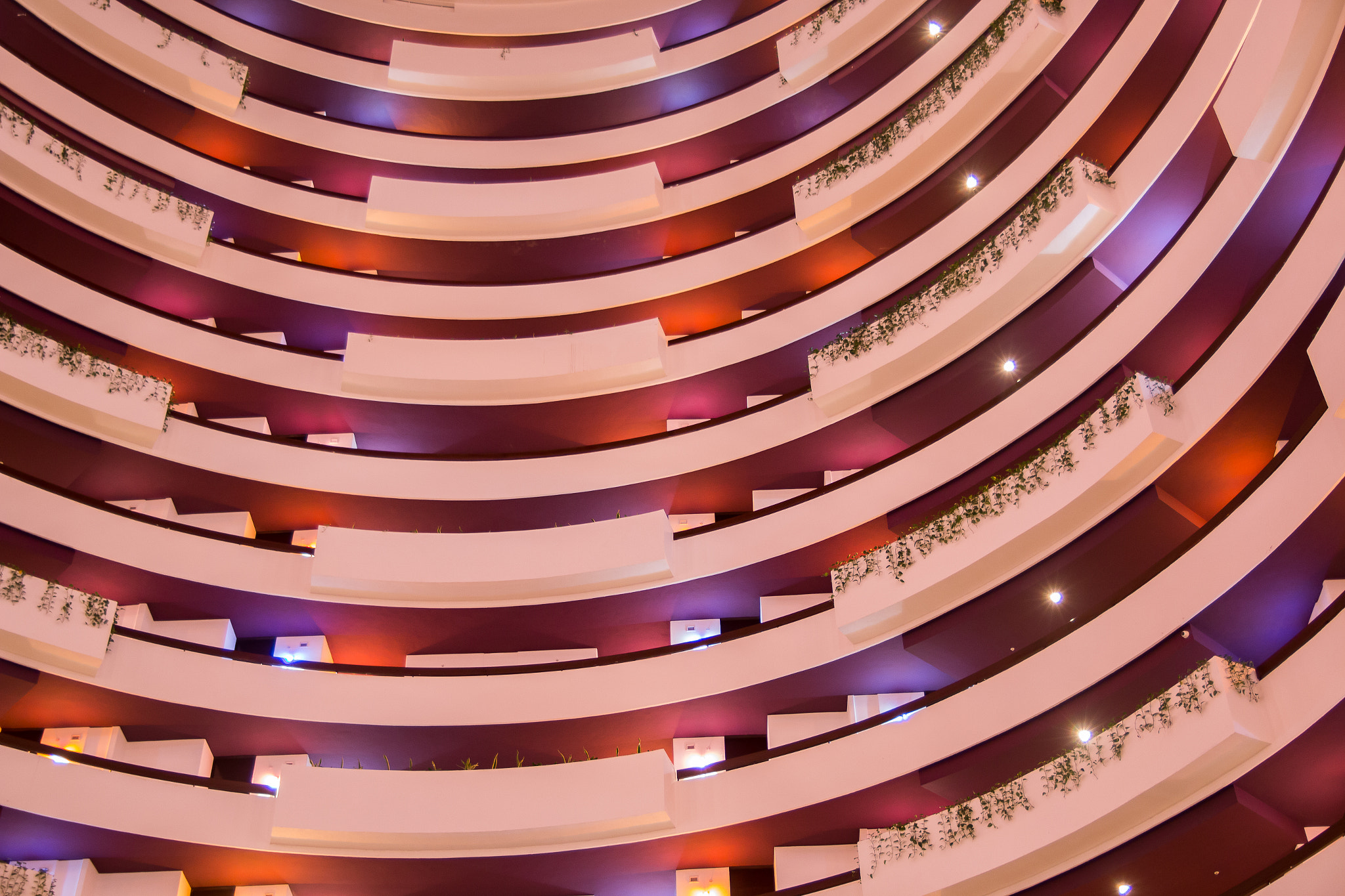 Canon EOS 70D + Sigma 18-50mm f/2.8 Macro sample photo. Krystal hotel grand photography