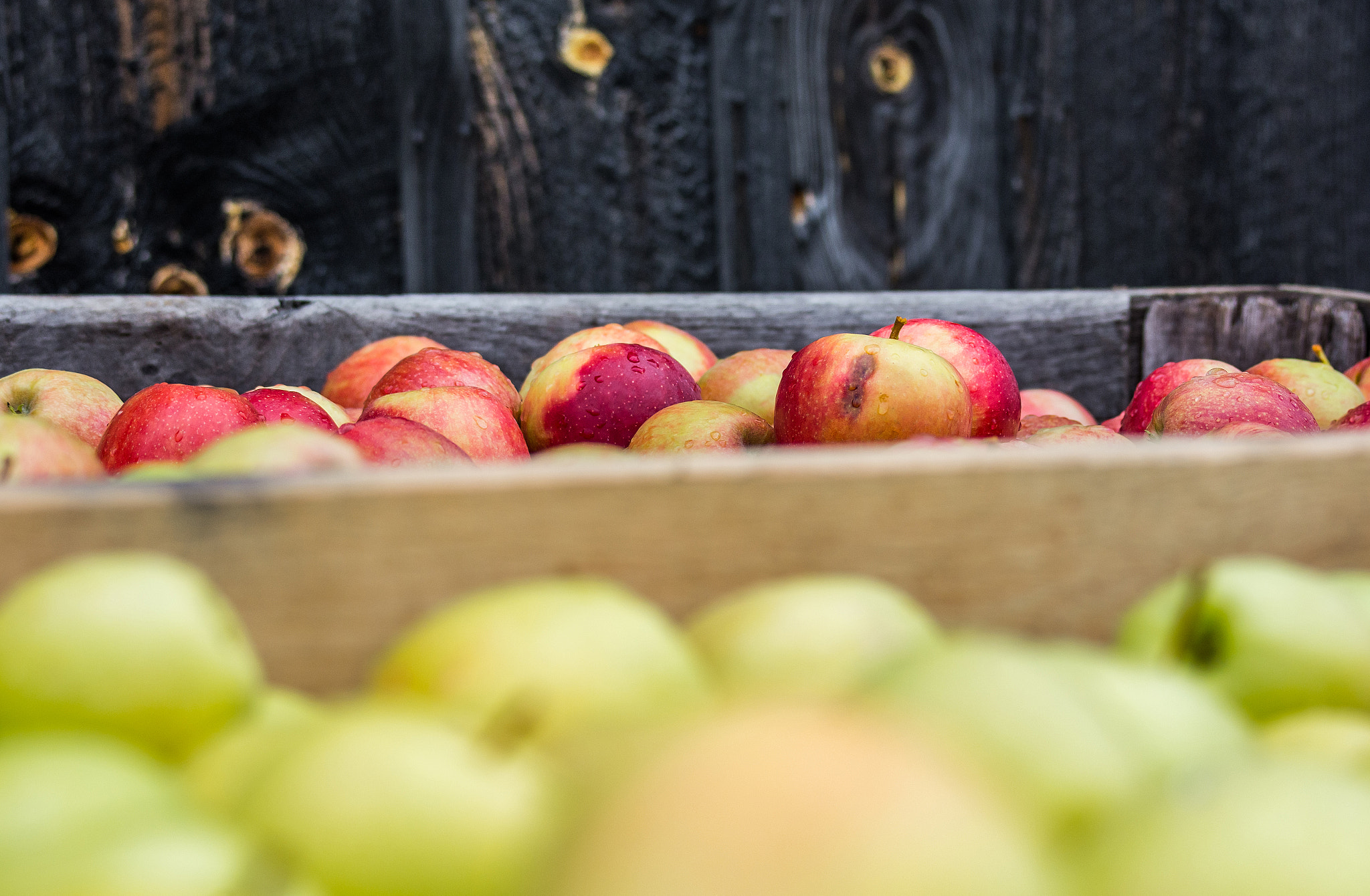 Nikon D7100 + Sigma 70-300mm F4-5.6 DG OS sample photo. Farm fresh apples photography