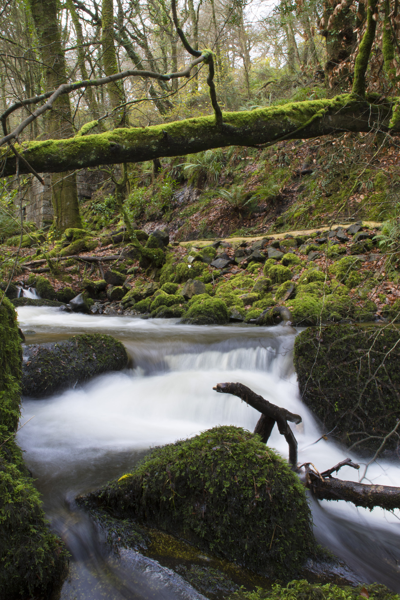 Canon EOS 7D Mark II + Canon EF 20mm F2.8 USM sample photo. River kennall portrait photography