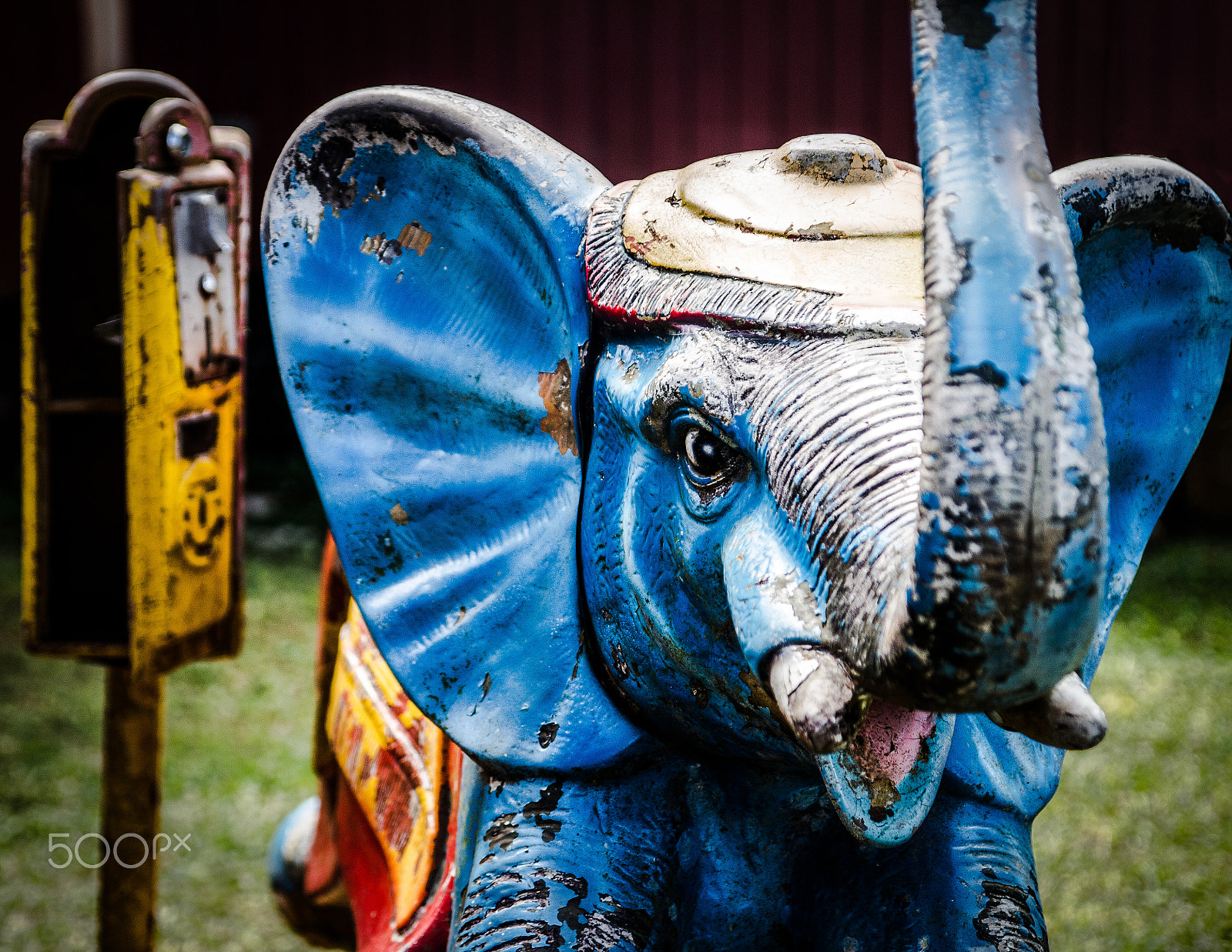 Canon EOS 650D (EOS Rebel T4i / EOS Kiss X6i) sample photo. The blue elephant photography