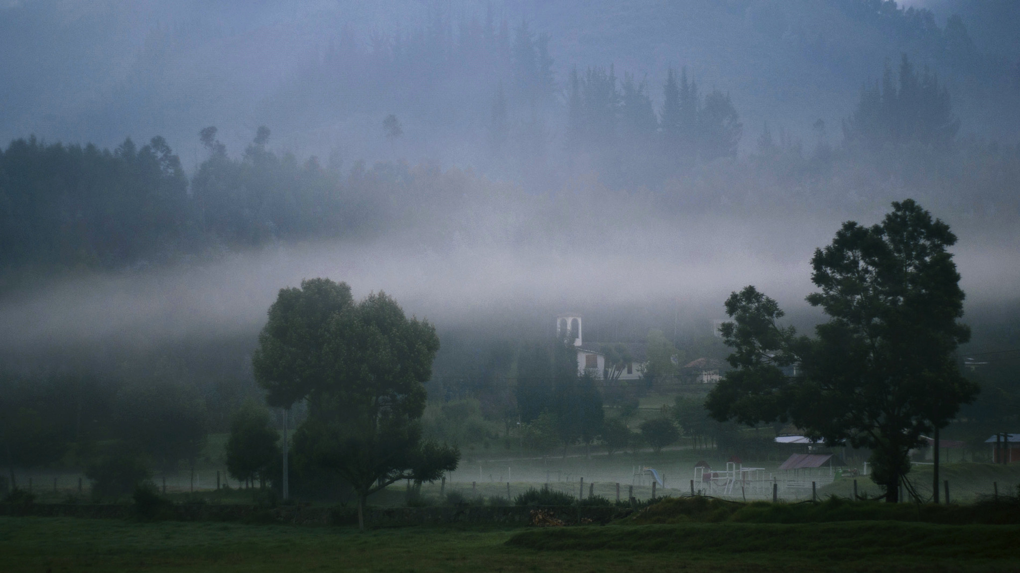 Sony Alpha DSLR-A230 + Minolta AF 50mm F1.7 sample photo. Mystic morning   ©liz photography photography