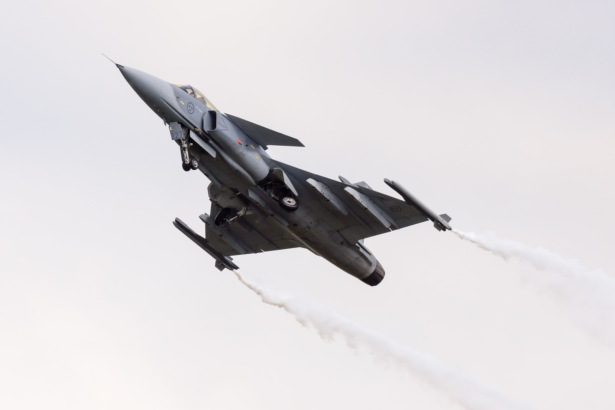 Sony 70-300mm F4.5-5.6 G SSM sample photo. Gripen photography