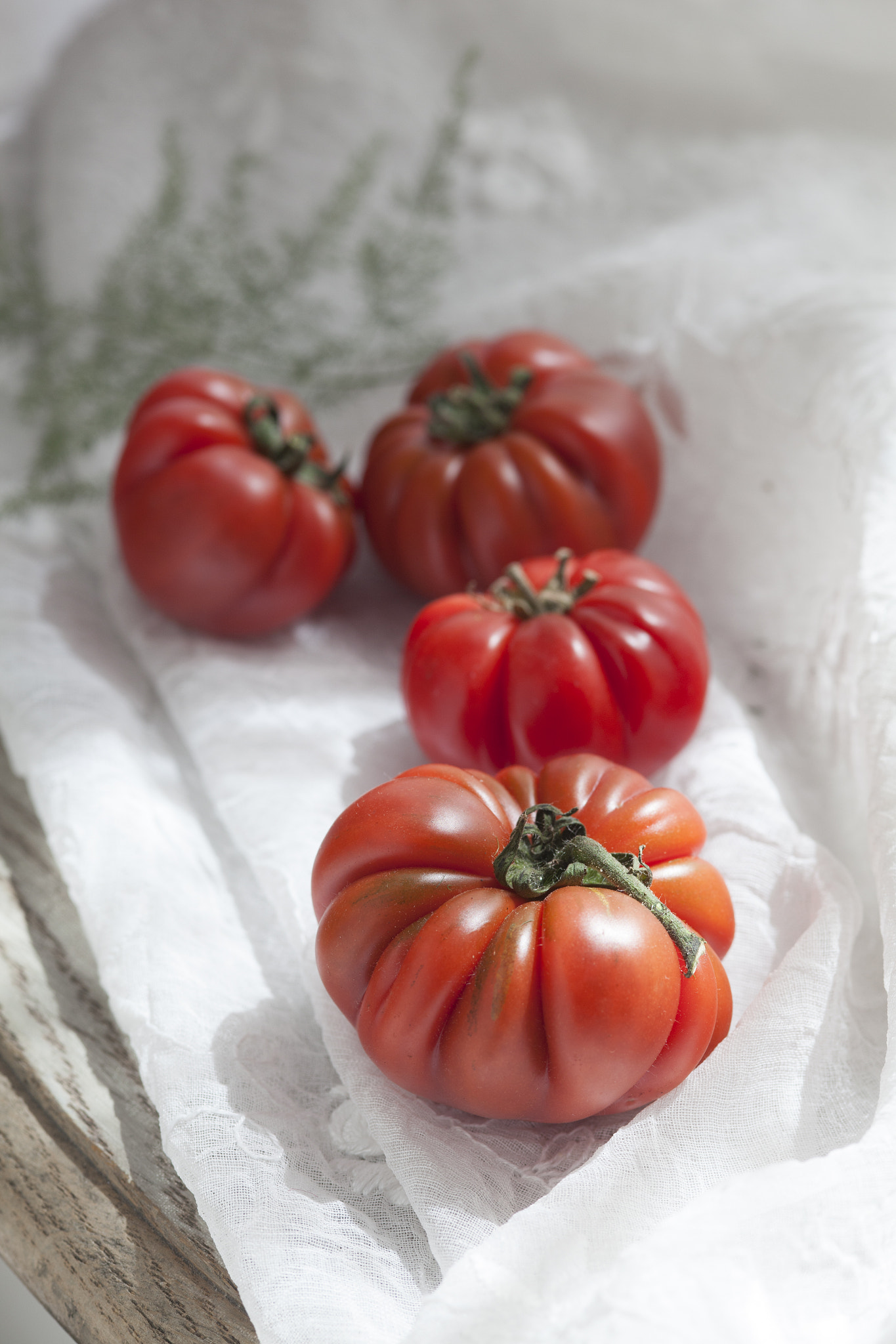 ZEISS Makro-Planar T* 100mm F2 sample photo. Heirloom tomatoes in nice, france photography