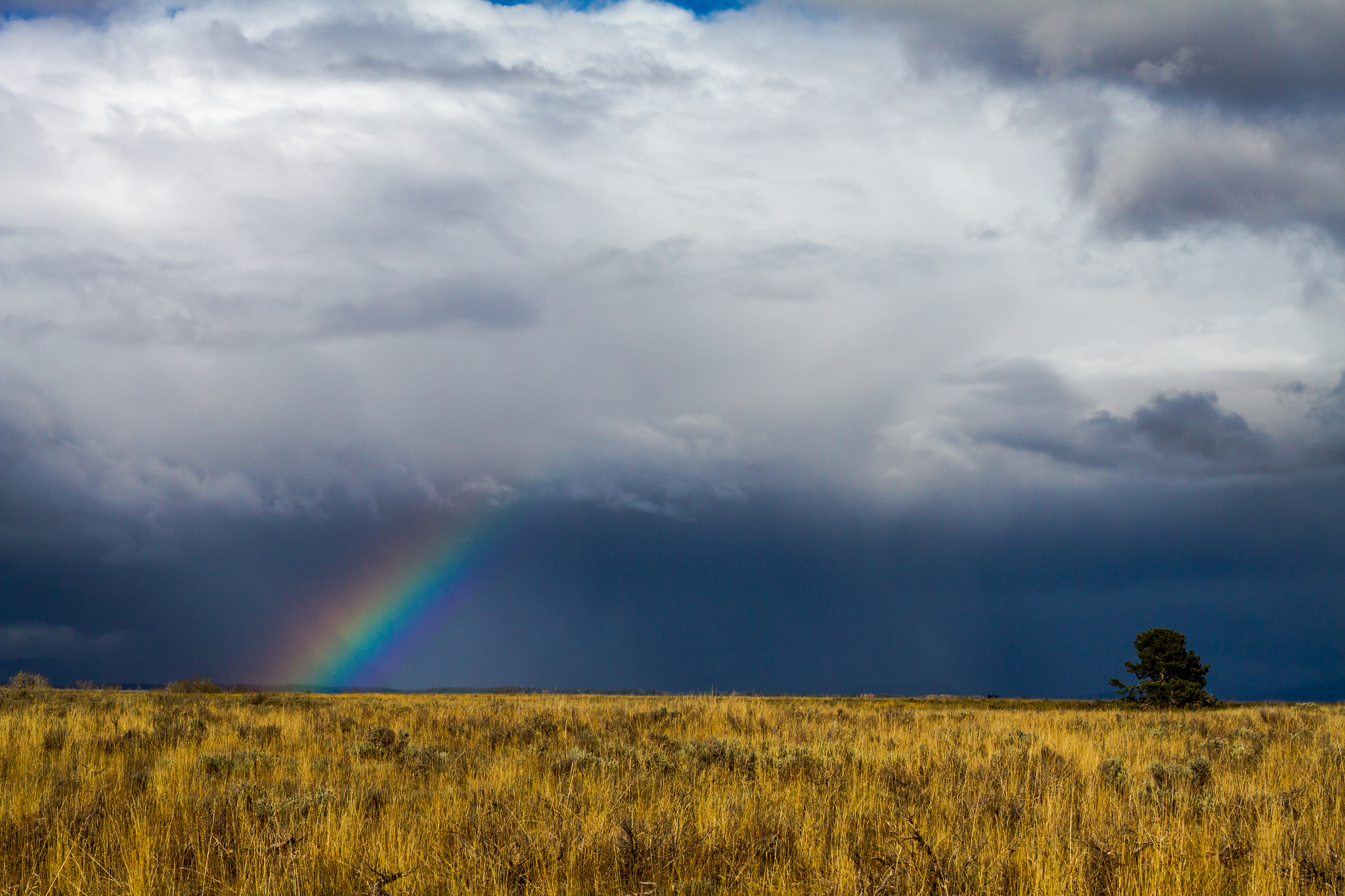 Canon EOS 7D + Canon EF 50mm f/1.8 sample photo. Rainbow... photography