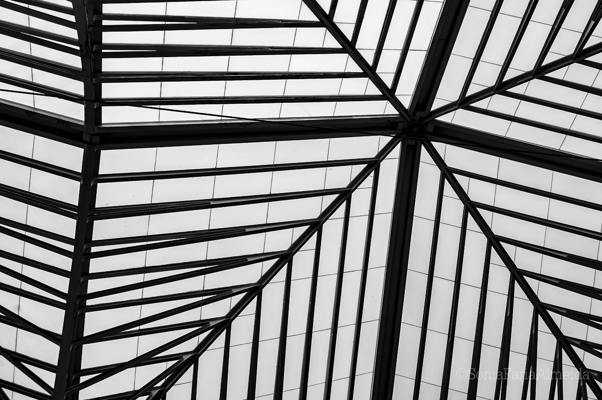 AF Zoom-Nikkor 35-80mm f/4-5.6D N sample photo. Gare oriente photography