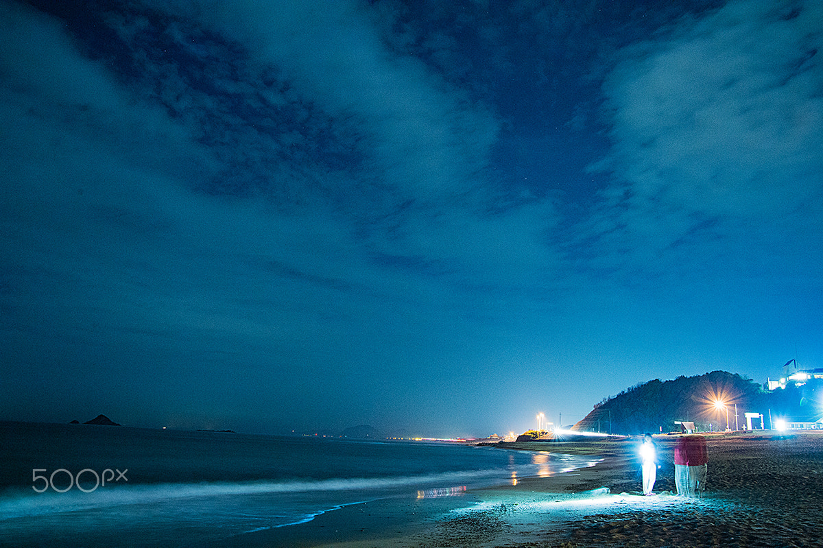 Nikon Df sample photo. Night beach () photography