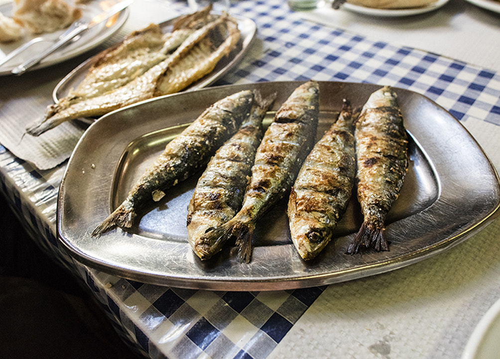 Canon EOS 5DS + Canon TS-E 24mm f/3.5L sample photo. Sardines in sintra photography