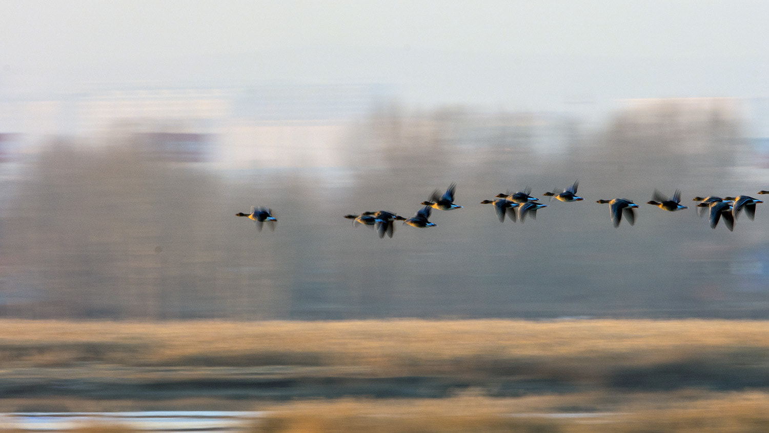Canon EF 600mm F4L IS II USM sample photo. _50a5281.jpg photography