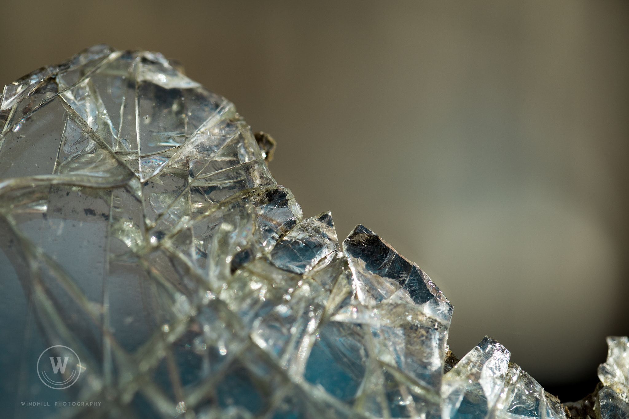 Canon EOS 6D + Canon EF 100mm F2.8 Macro USM sample photo