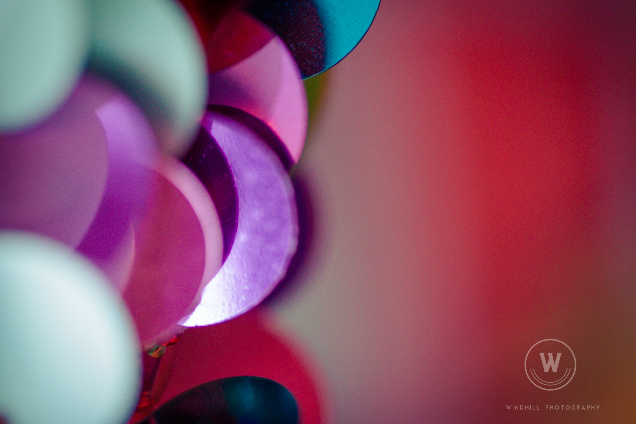 Canon EOS 6D + Canon EF 100mm F2.8 Macro USM sample photo