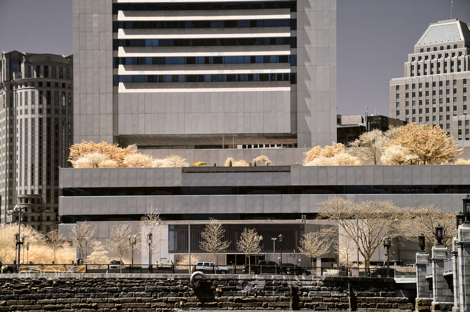 Nikon D70s sample photo. Downtown roof garden photography