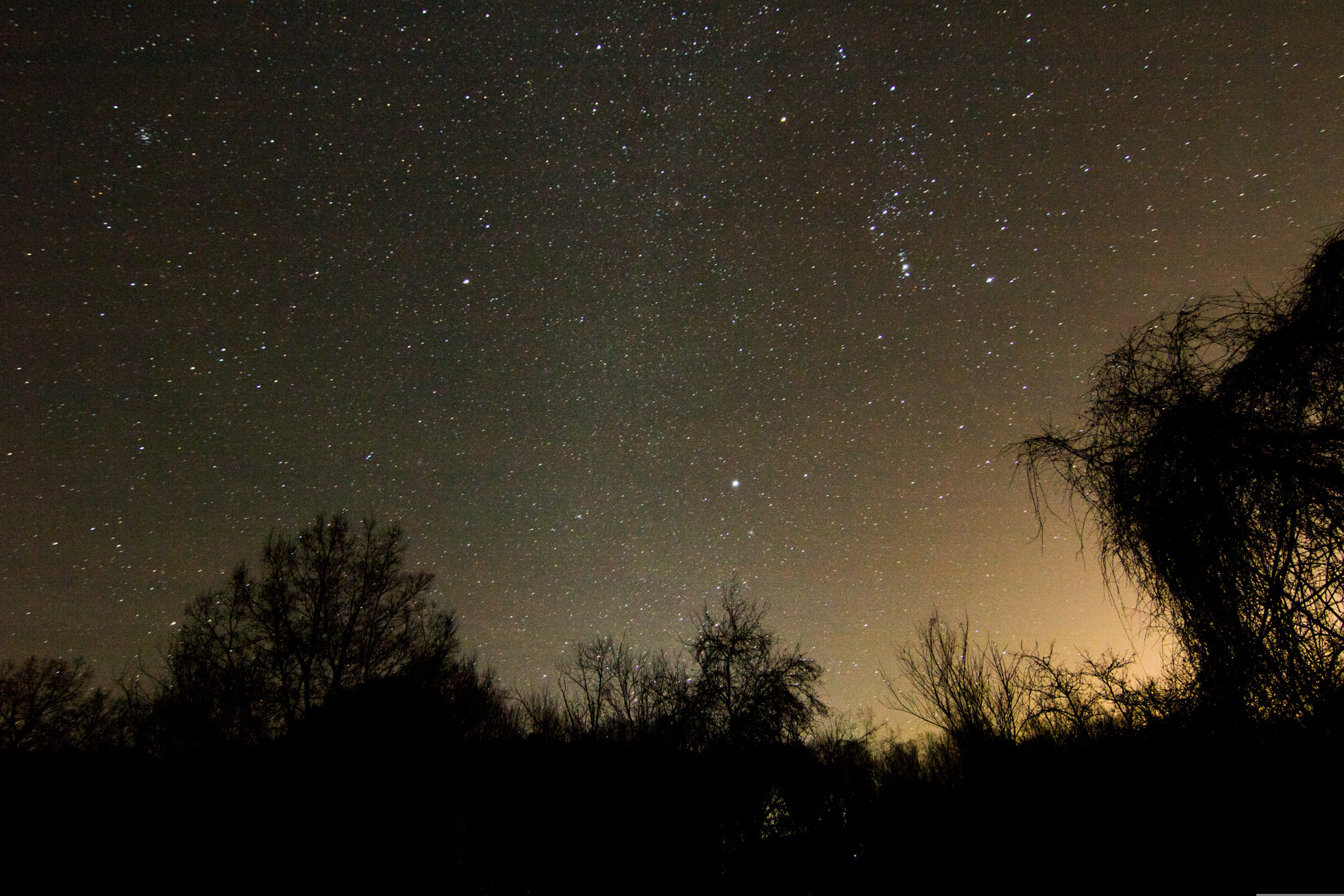 Canon EOS 760D (EOS Rebel T6s / EOS 8000D) sample photo. Orion's thorns photography