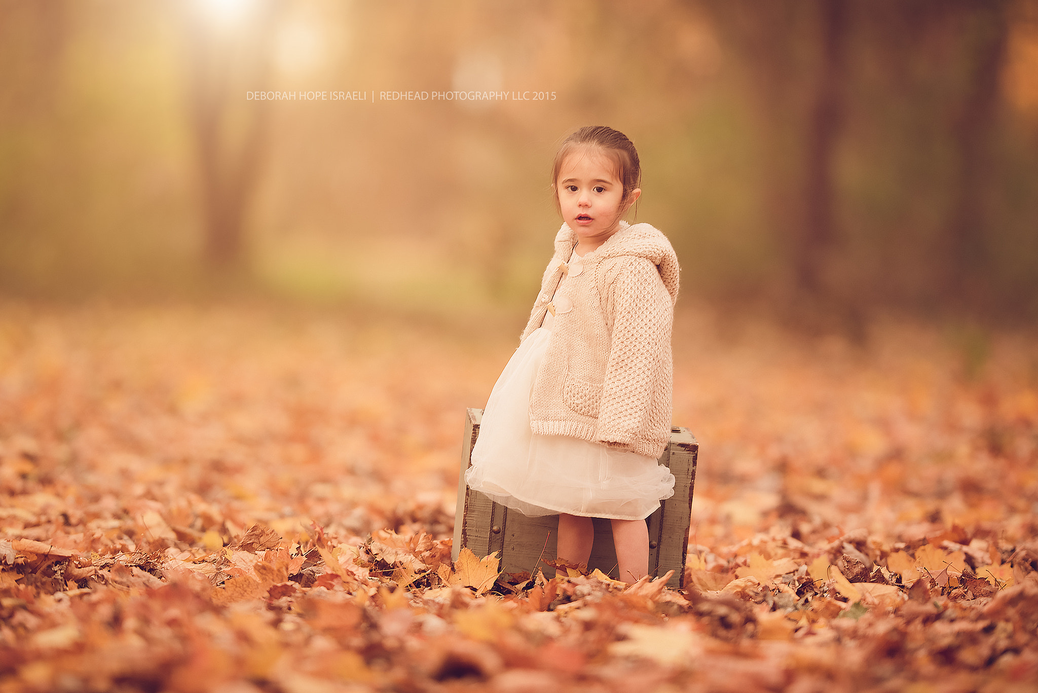 Nikon AF-S Nikkor 200mm F2G ED-IF VR sample photo. Hernandezkids photography