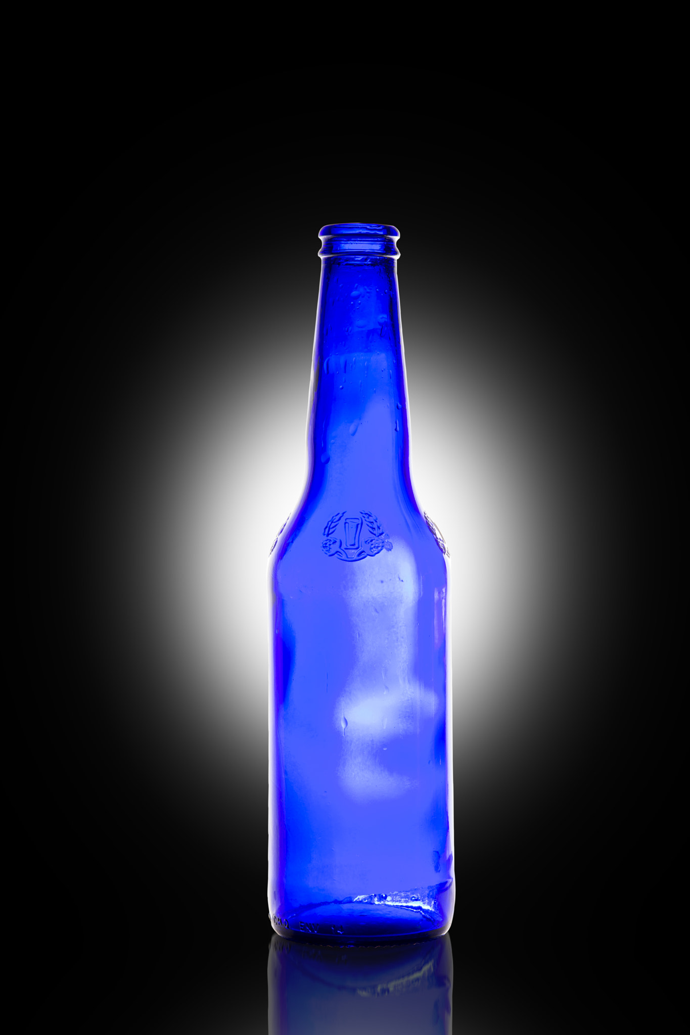 Nikon AF-S Micro-Nikkor 60mm F2.8G ED sample photo. Empty bottle photography